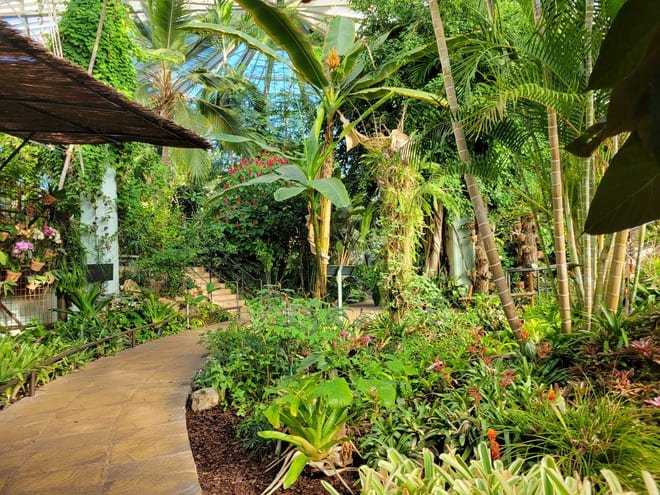 Greenhouse at Parc Phoenix